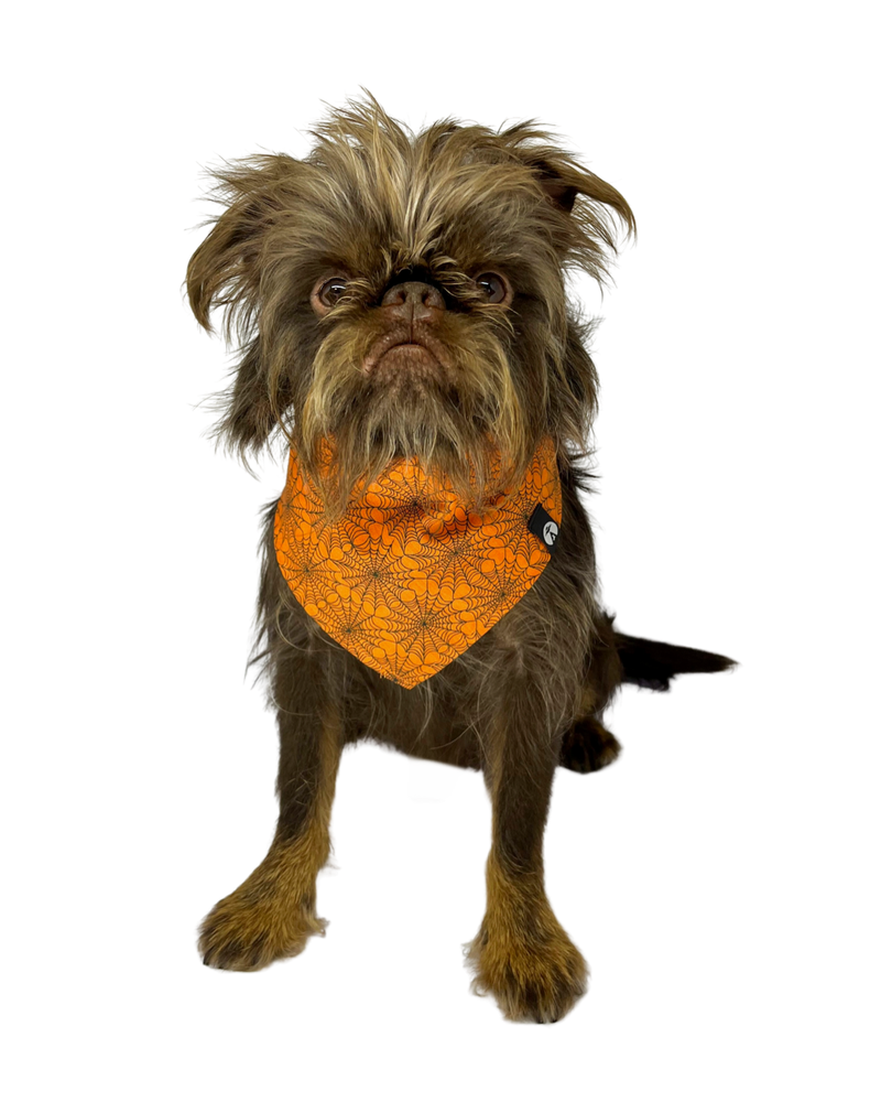 BANDANA HALLOWEEN LARANJA